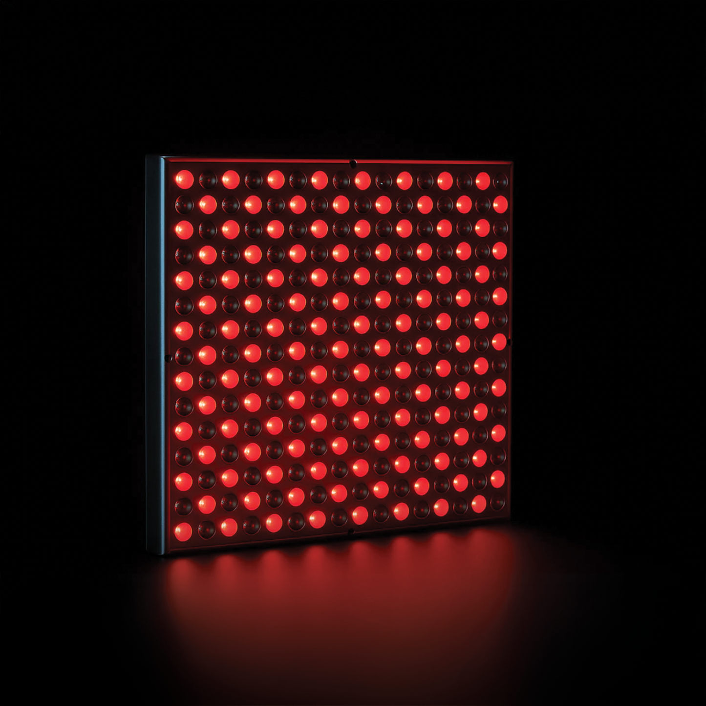 Nefertiti - Red Light Panel
