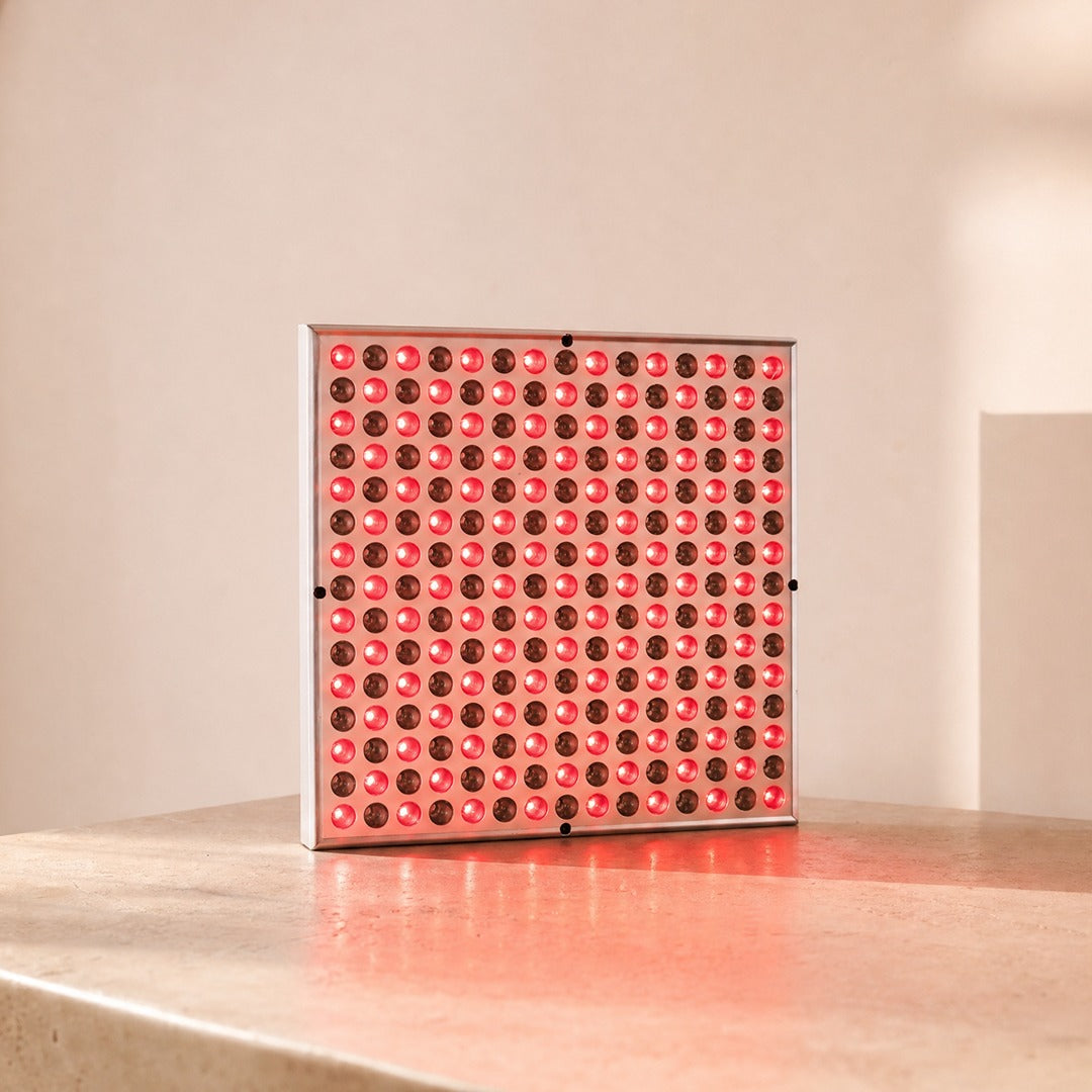 Nefertiti - Red Light Panel