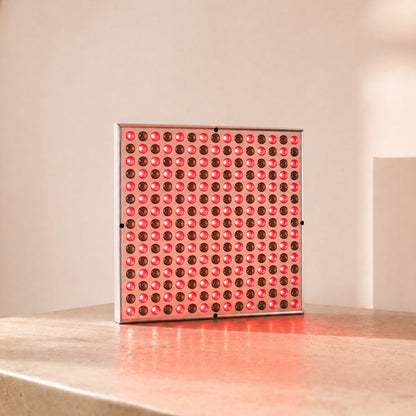 Nefertiti - Red Light Panel