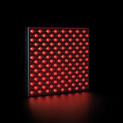 Nefertiti - Red Light Panel