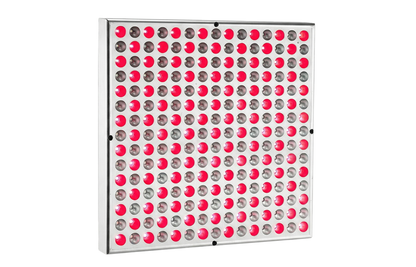 Nefertiti - Red Light Panel