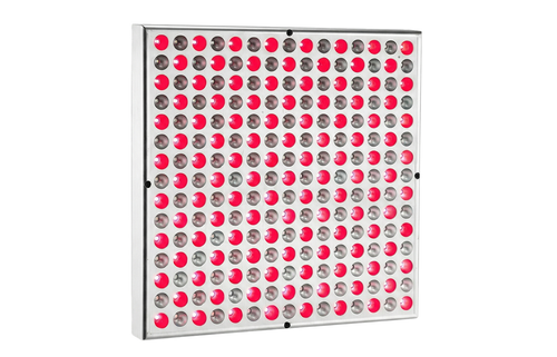 Nefertiti - Red Light Panel