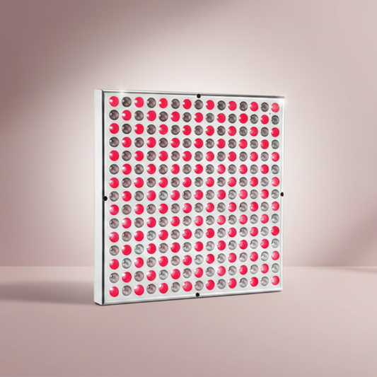 Nefertiti - Red Light Panel